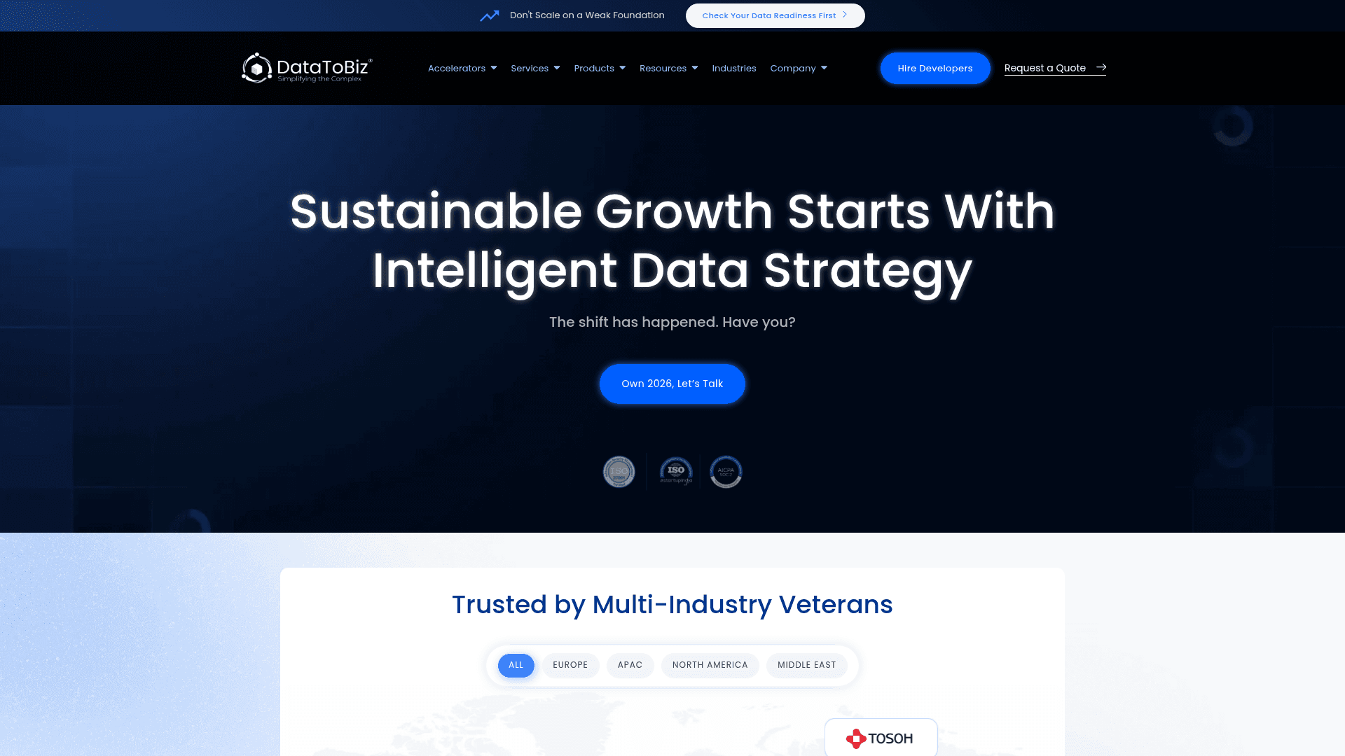 DataToBiz website screenshot