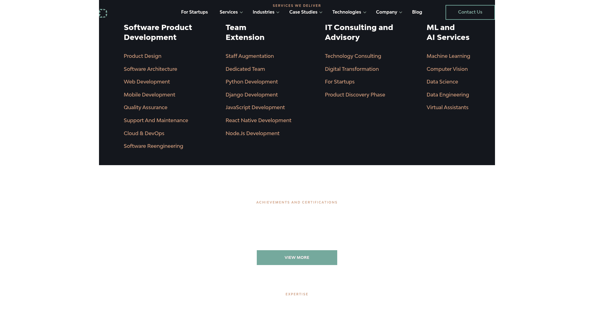 Django Stars website screenshot