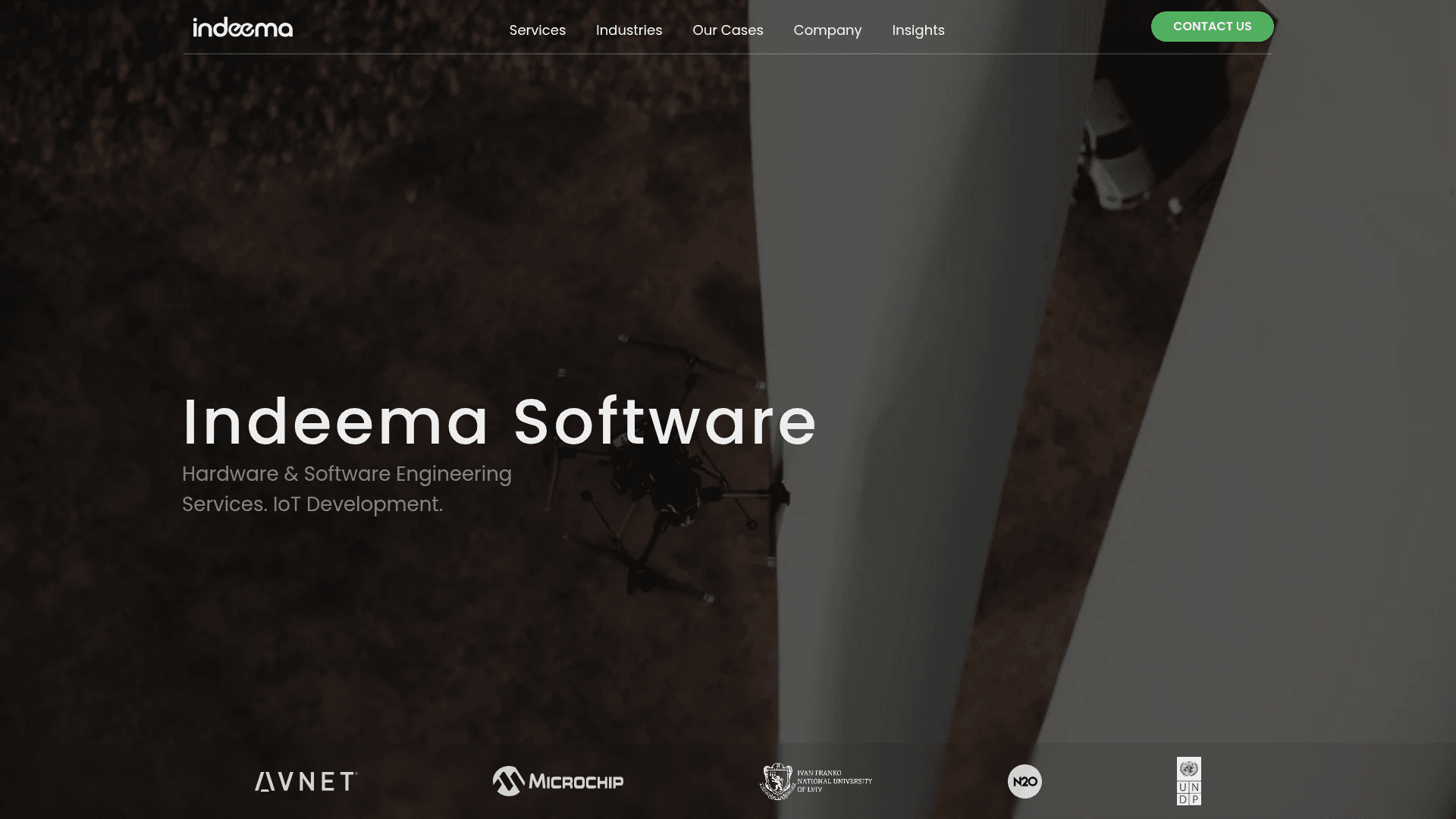Indeema Software website screenshot
