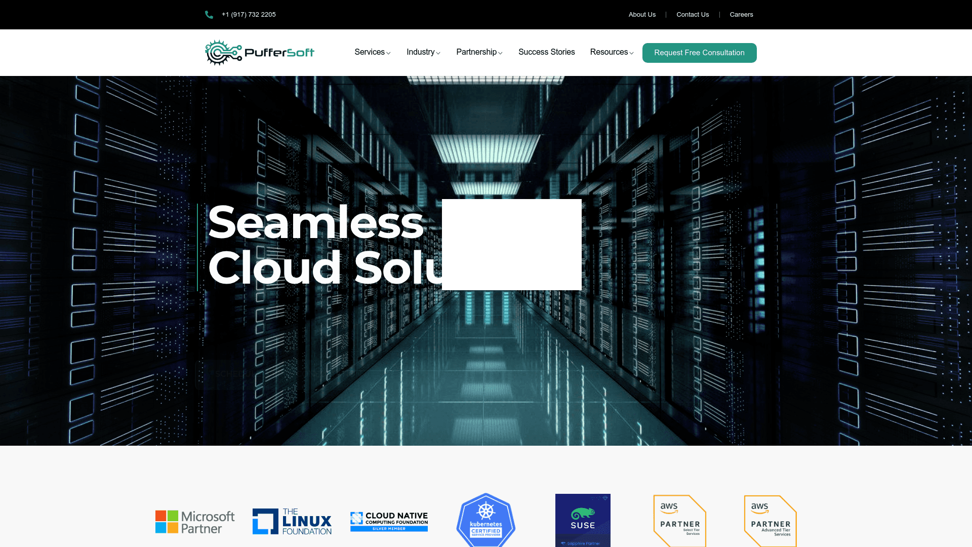 PufferSoft website screenshot