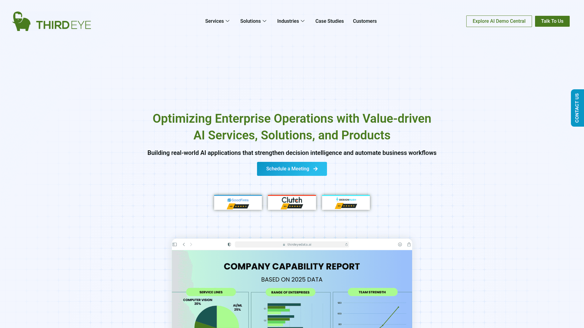 ThirdEye Data website screenshot