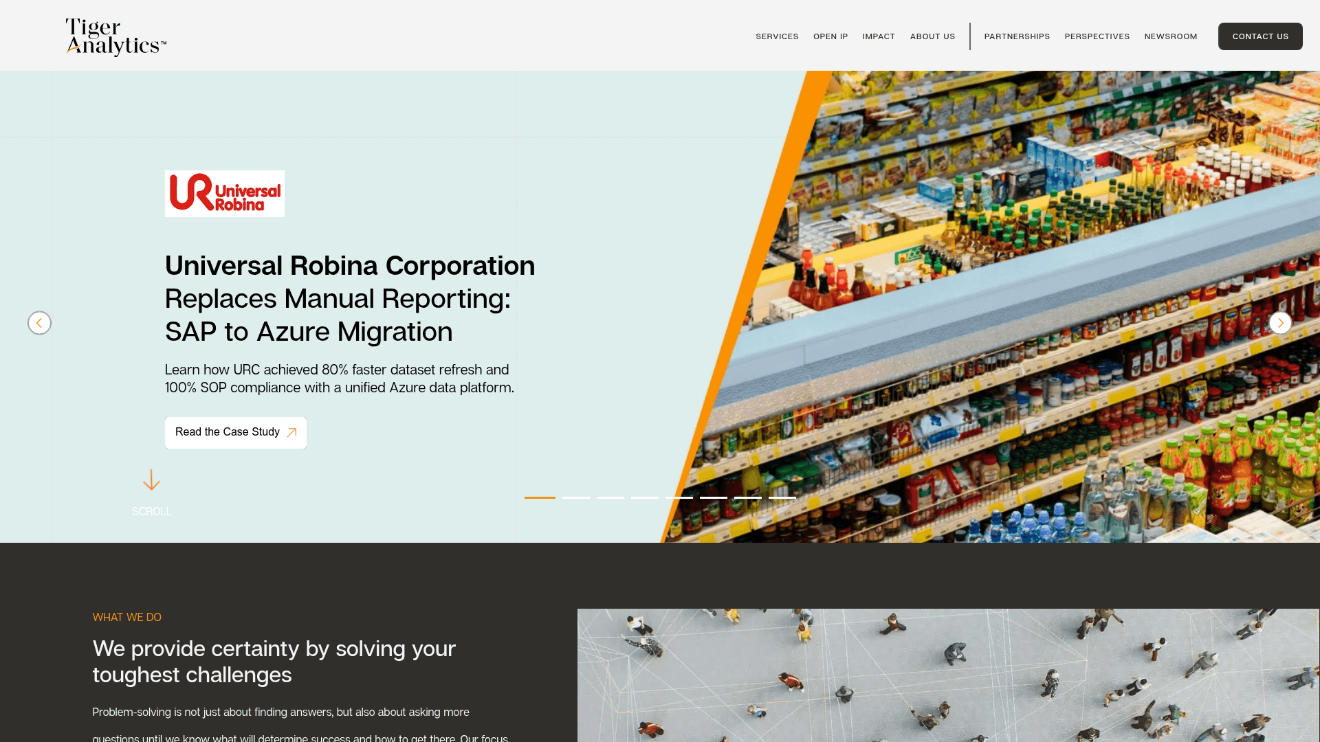 Tiger Analytics website screenshot