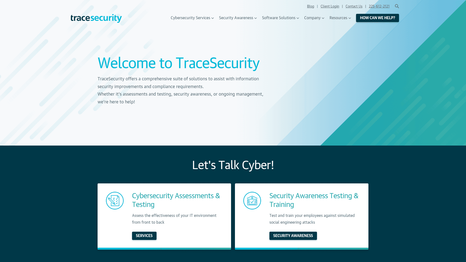 Trace Security website screenshot