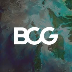 BCG X