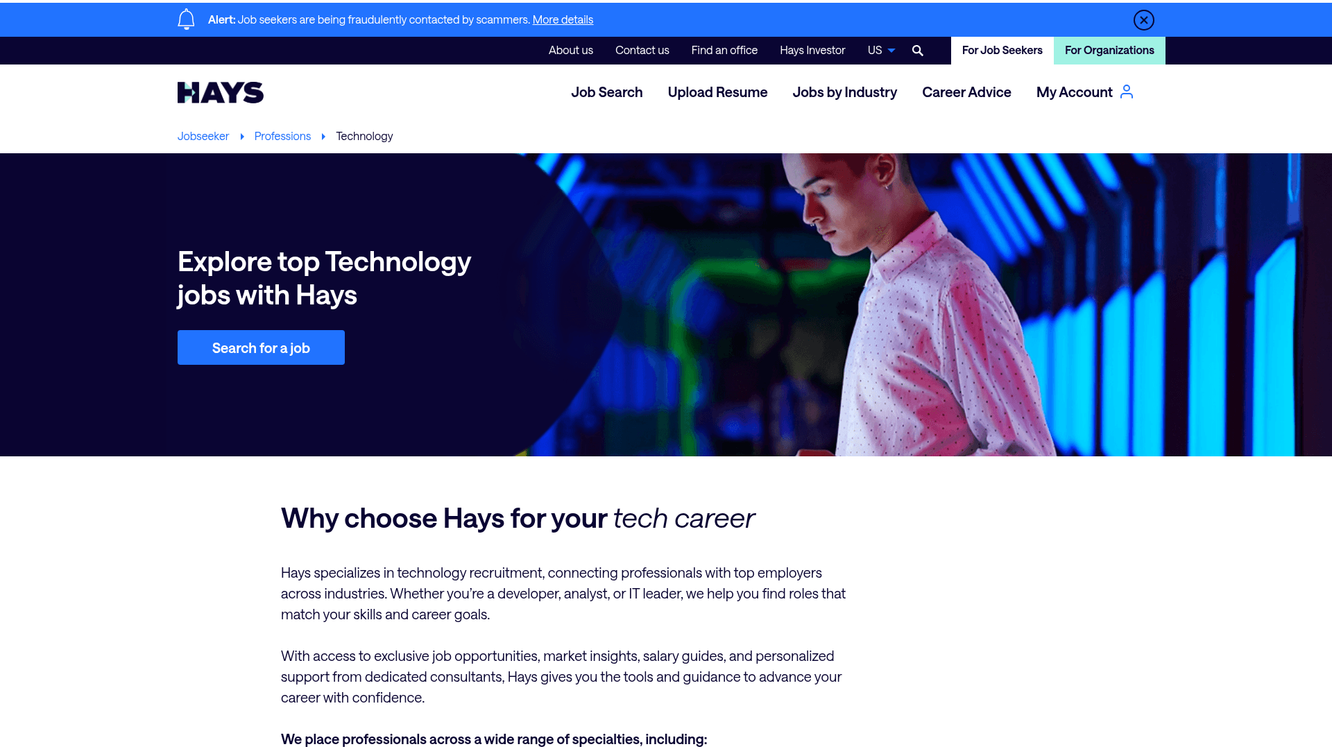 Hays Technology website screenshot